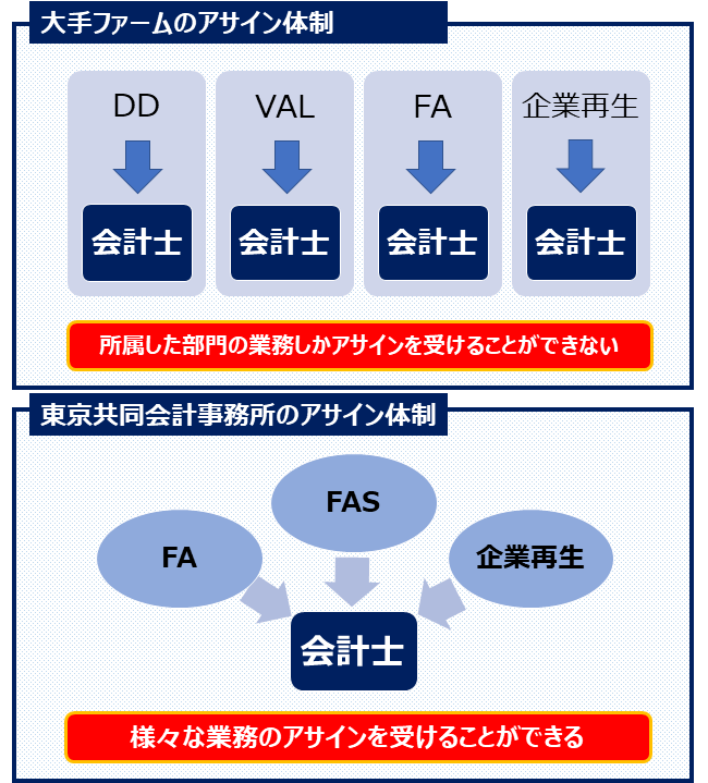 東京共同会計事務所・体制図表