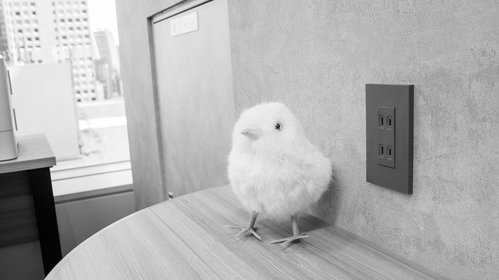 IPO専門のESネクスト有限責任監査法人_ESNextLLC_新オフィス訪問_ひよこちゃん白黒